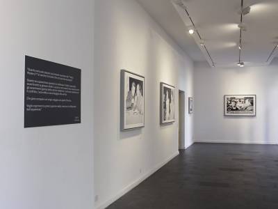 Exhibition layout